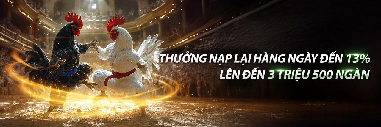 Hình ảnh chính đá gà trực tuyến 678win trang chủ chính thức
